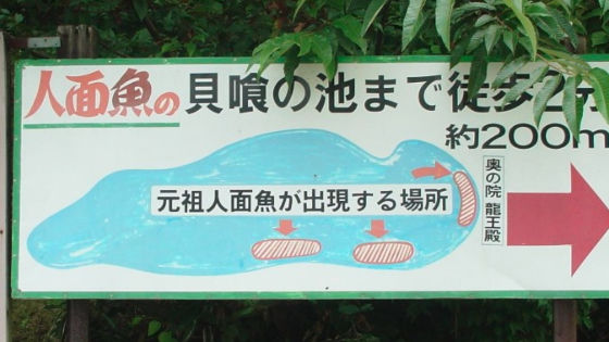善宝寺看板