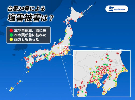 台風の塩害1