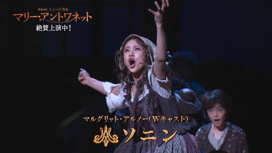 ソニン9