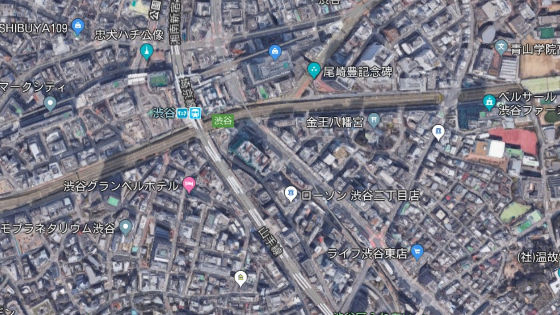 Googleマップの衛星写真