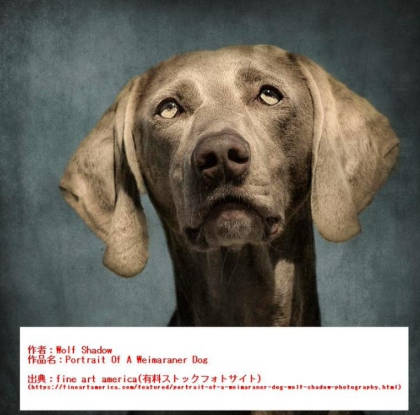 勝海麻衣の盗作疑惑の比較犬の原画