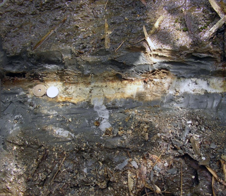チバニアンとは?磁場逆転のよる77万年前の地層の画像に衝撃01